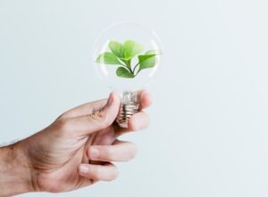 Empreendimentos que têm tendências positivas para 2024